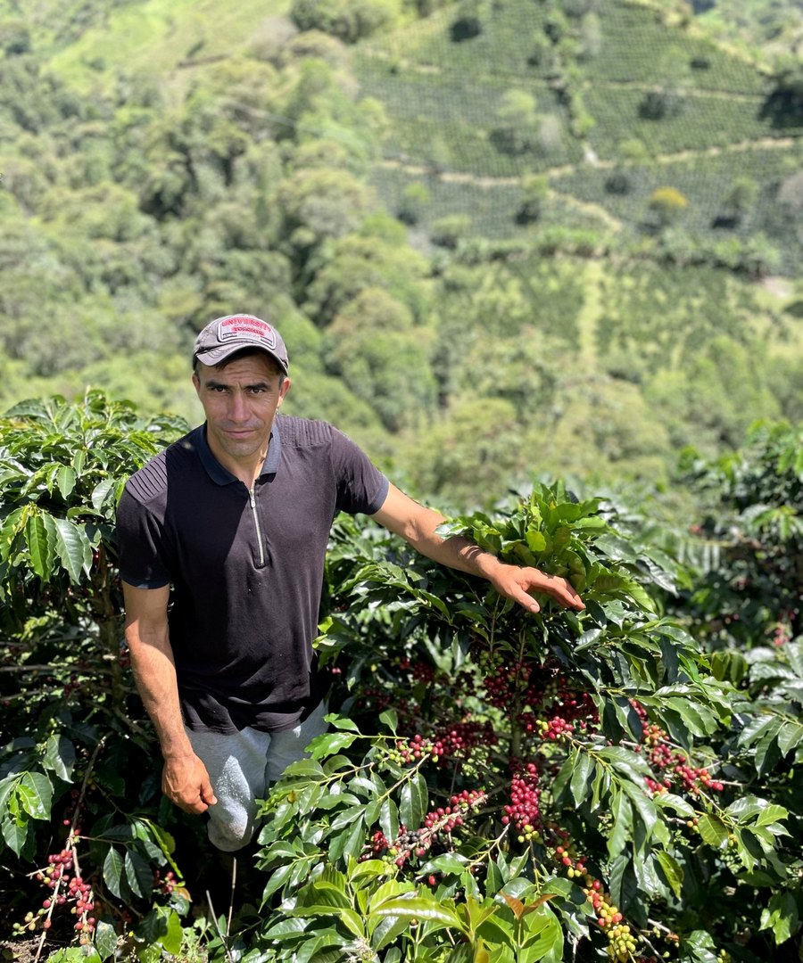 Coffee grower in the field with ripe cherries — origin of Aerís Signature lots